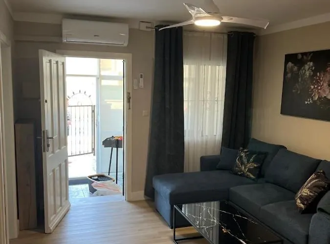 Villa-celine 托雷维耶哈